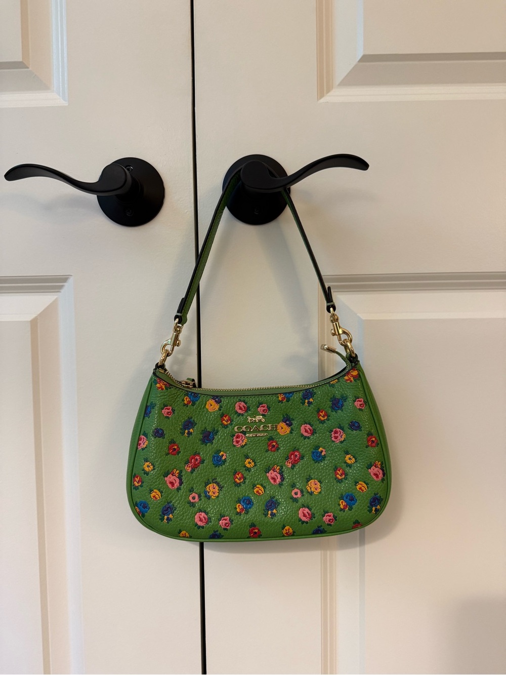Coach Mini Teri Shoulder Bag